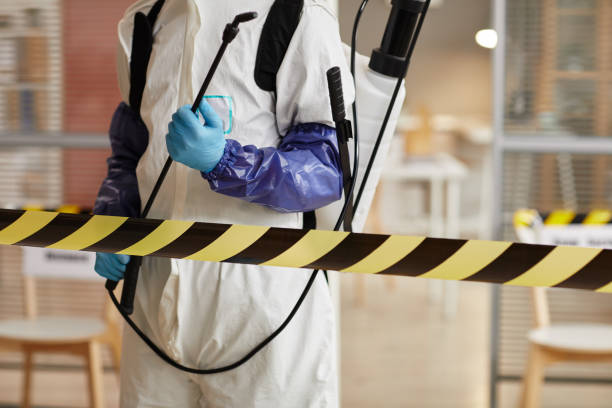 Professional Sewage Cleanup technician working in New Melle, MO